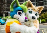 Cal State San Marcos offers courses on animal-based sex fetishes. Image of Cal State San Marcos offers courses on animal-based sex fetishes.