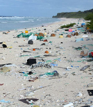 Miles from civilization, Henderson Island is still covered by plastic pollution. Miles from civilization, Henderson Island is still covered by plastic pollution.