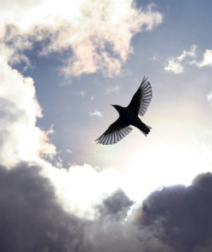 'Peace I leave with you; my peace I give to you. Not as the world gives do I give it to you.' 'Peace I leave with you; my peace I give to you. Not as the world gives do I give it to you.'