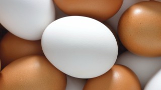What are 'cloud eggs?' What are 'cloud eggs?'