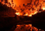At least 62 people have been killed in huge forest fires in the central part of Portugal Saturday and Sunday. Image of At least 62 people have been killed in huge forest fires in the central part of Portugal Saturday and Sunday.