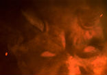 Our adversary is the devil. Image of Our adversary is the devil.