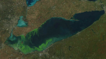 Lake Erie is swelling to record levels. The brig green streaks on the image are caused by algae blooms. Lake Erie is swelling to record levels. The brig green streaks on the image are caused by algae blooms.