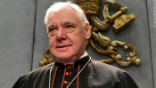 Cardinal Gerhard Muller. Image of Cardinal Gerhard Muller.