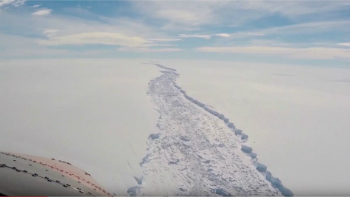 The crack in the Larsen C Ice Shelf stretched for nearly 100 miles. Today, it has reached the ocean, calving one of the largest glaciers ever recorded. The crack in the Larsen C Ice Shelf stretched for nearly 100 miles. Today, it has reached the ocean, calving one of the largest glaciers ever recorded.