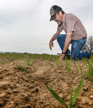 How often do we really consider the hard work and long hours that farmers, ranchers and farmworkers exert to put food on our table? How often do we really consider the hard work and long hours that farmers, ranchers and farmworkers exert to put food on our table?