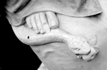Here's why Satan hates the Virgin Mary. Here's why Satan hates the Virgin Mary.