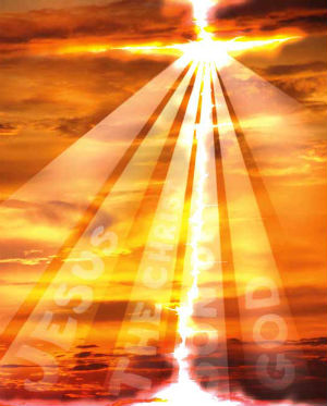 'They do not believe in the darkness, but in the light of day; they do not succumb to the night, but hope in the dawn.' 'They do not believe in the darkness, but in the light of day; they do not succumb to the night, but hope in the dawn.'