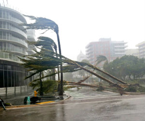 Hurricane Irma has hit Florida. Hurricane Irma has hit Florida.