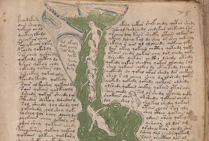 Until now, nobody could read this ancient manuscript. But one person thinks he's solved the riddle. Until now, nobody could read this ancient manuscript. But one person thinks he's solved the riddle.