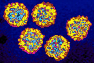Hepatitis is a killer, and takes more lives than HIV, tuberculosis, and malaria combined. It can be treated cured, but the political will to eradicate the disease is low. Hepatitis is a killer, and takes more lives than HIV, tuberculosis, and malaria combined. It can be treated cured, but the political will to eradicate the disease is low.