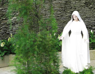 Schoolgirls claim to have had visions of the Virgin Mary and Jesus. Schoolgirls claim to have had visions of the Virgin Mary and Jesus.