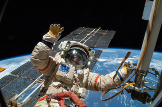 The extraterrestrial hitchhikers were discovered by Russian cosmonauts on a spacewalk aboard the International Space Station. The extraterrestrial hitchhikers were discovered by Russian cosmonauts on a spacewalk aboard the International Space Station.