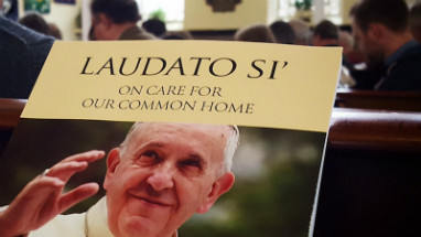 Pope Francis has made clear that care for creation is a major concern of the Church and humanity. Pope Francis has made clear that care for creation is a major concern of the Church and humanity.