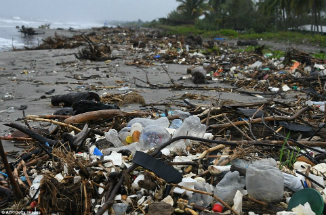 The beaches of Roatan, Honduras are covered with trash following the rainy season. The beaches of Roatan, Honduras are covered with trash following the rainy season.