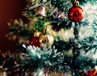 What are your plans this Christmas? Will you remain silent or will you step up and speak the Truth in love? What are your plans this Christmas? Will you remain silent or will you step up and speak the Truth in love?