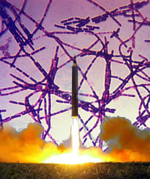 South Korean Intelligence reports North Korea launched biological weapons experiments involving anthrax. South Korean Intelligence reports North Korea launched biological weapons experiments involving anthrax.