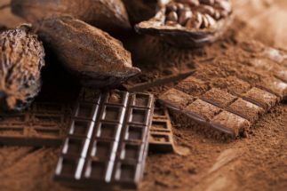 Now they're coming for our chocolate! Now they're coming for our chocolate!
