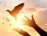 The God-given mission for us in 2018 is to faithfully use our time to spread this divine truth! Image of The God-given mission for us in 2018 is to faithfully use our time to spread this divine truth!