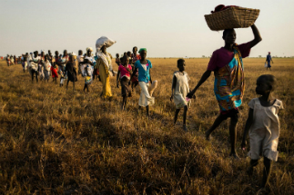 Millions of people struggle with violence and poverty due to conflict and government corruption. Millions of people struggle with violence and poverty due to conflict and government corruption.