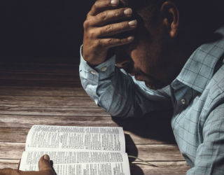 Learning to live with your weaknesses, your own thorns and imperfections is so important for growing in faith. Learning to live with your weaknesses, your own thorns and imperfections is so important for growing in faith.
