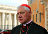Cardinal Müller speaks on Humanae Vitae. Image of Cardinal Müller speaks on Humanae Vitae.