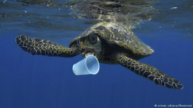 We are filling up our oceans with plastic trash, choking and killing our sea creatures. We are filling up our oceans with plastic trash, choking and killing our sea creatures.