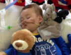Alfie Evans Image of Alfie Evans