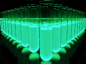 Scientists have discovered how to use stem cells to clone embryos. Scientists have discovered how to use stem cells to clone embryos.