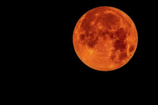 During a lunar eclipse, the moon can turn orange to blood red or black. During a lunar eclipse, the moon can turn orange to blood red or black.