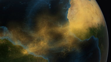 Saharan dust crosses the Atlantic to fertilize the Amazon. It can also blow as far north as the southern USA. Saharan dust crosses the Atlantic to fertilize the Amazon. It can also blow as far north as the southern USA.