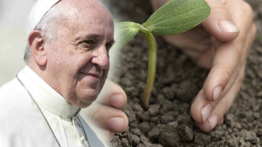 Pope Francis is providing the leadership we need. Are we faithful enough to follow? Pope Francis is providing the leadership we need. Are we faithful enough to follow?