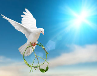 'No to NATO -- Yes to Peace.' 'No to NATO -- Yes to Peace.'