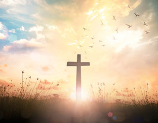 Jesus has various forms of healing for all of us. Jesus has various forms of healing for all of us.