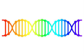 LGBT LGBT