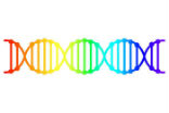 LGBT Image of LGBT