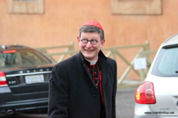 Cardinal Woelki Cardinal Woelki
