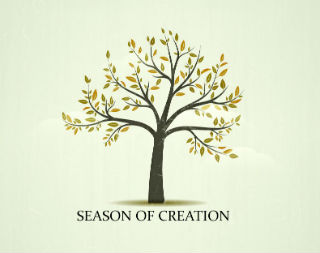 Pray, plant trees, research ways your house and parish can go green! Pray, plant trees, research ways your house and parish can go green!