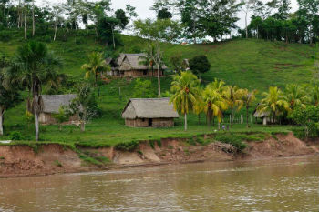 Peruvian Amazon Peruvian Amazon