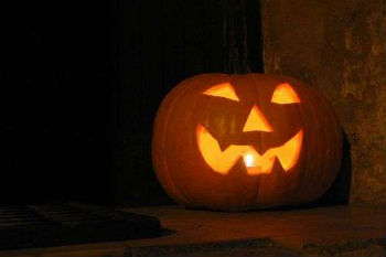 Pumpkin Pumpkin