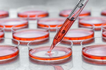 Culturing cells Culturing cells