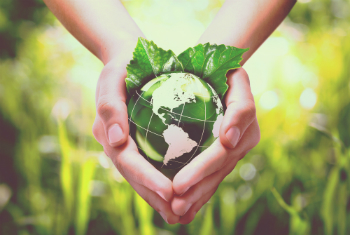 We are stewards of creation, not masters of the Earth. We have an obligation to use the goods of the Earth to care for one another. Image of We are stewards of creation, not masters of the Earth. We have an obligation to use the goods of the Earth to care for one another.