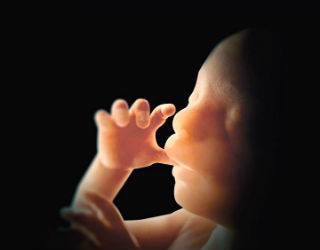 An unborn baby does not have the protection of being seen for what he or she is -- a miraculous new human life. Image of An unborn baby does not have the protection of being seen for what he or she is -- a miraculous new human life.