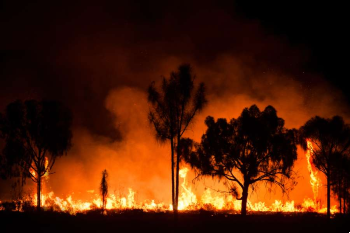 Bush fire in Australia Bush fire in Australia