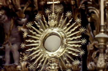 A new course coming this fall will teach about first Confession and Reconciliation and first Holy Communion. A new course coming this fall will teach about first Confession and Reconciliation and first Holy Communion.