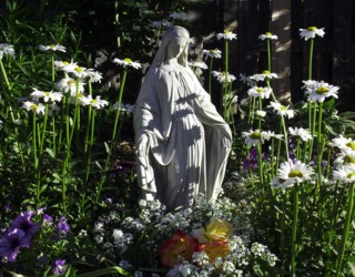 The tradition of planting Mary Gardens goes back centuries. The tradition of planting Mary Gardens goes back centuries.