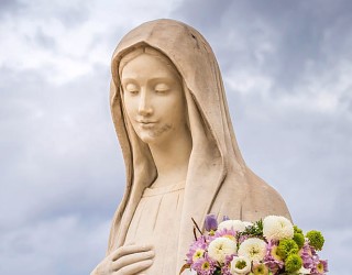 Image of