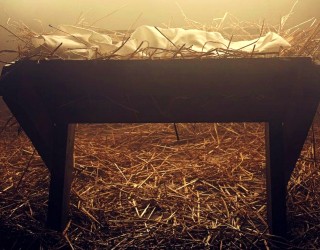 Advent offers us a wonderful opportunity to learn how to wait patiently, prayerfully and trustingly on the Lord. Advent offers us a wonderful opportunity to learn how to wait patiently, prayerfully and trustingly on the Lord.