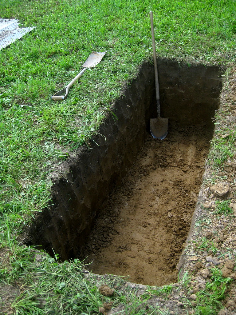 Image of