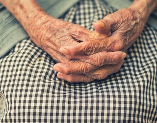 Photo by Cristian Newman on Unsplash
Image of Photo by Cristian Newman on Unsplash